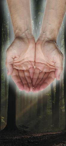 iStock000000889097LargeHANDS