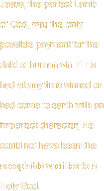 Jesus, the perfect Lamb of