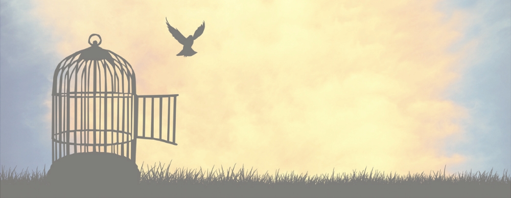 Freedom