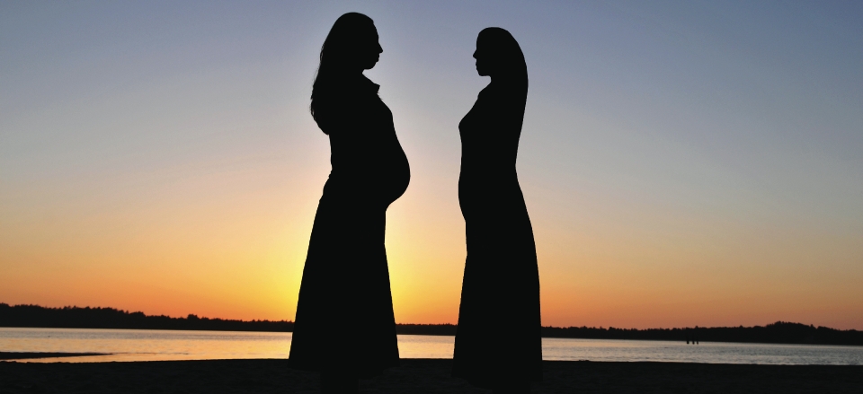 Elizabeth and Mary meet